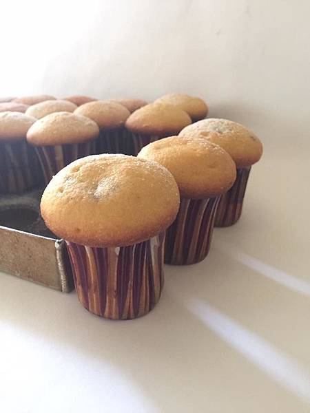 14591876_10205982472681460_632794758230176831_n.jpg 14591876_10205982472681460_632794758230176831_n.jpg