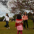 DSC04342-ANIMATION.gif