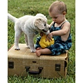 Baby-Girl-Playing-with-Puppy-Photographic-Print-C12138064.jpg