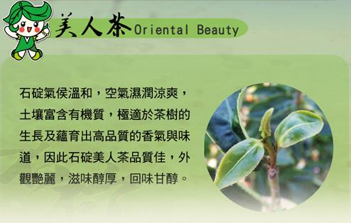 茶.JPG 茶.JPG