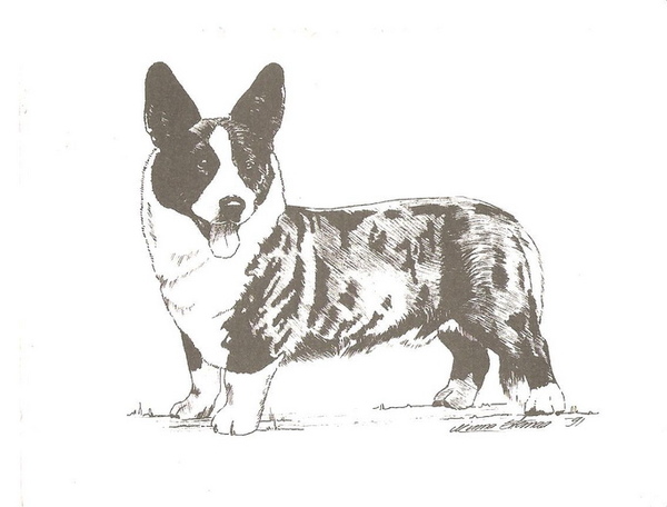012-FI-397567.jpg 012-FI-397567.jpg