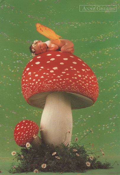 018-EE-34965.jpg 018-EE-34965.jpg