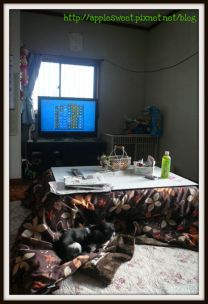 2010.04.21--Kotatsu 2010.04.21--Kotatsu