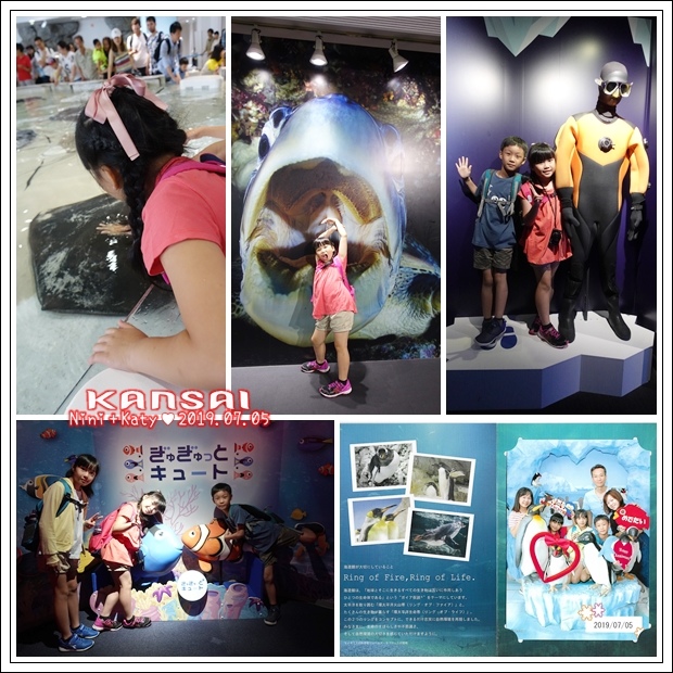 000-18.jpg 000-18.jpg