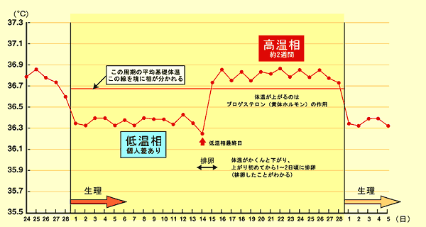 howto_graph_l.gif