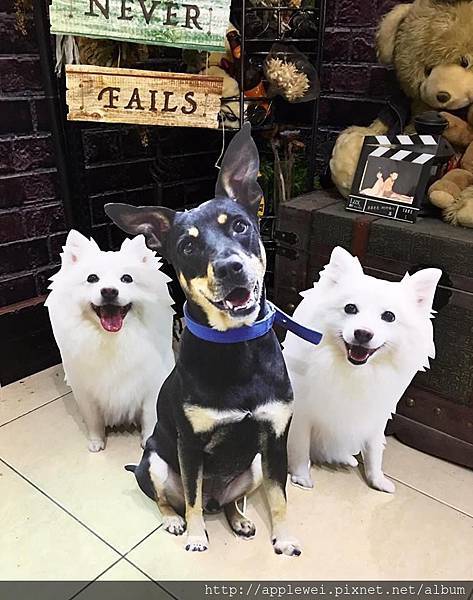 14804756_819666594841903_489457662_n.jpg 14804756_819666594841903_489457662_n.jpg