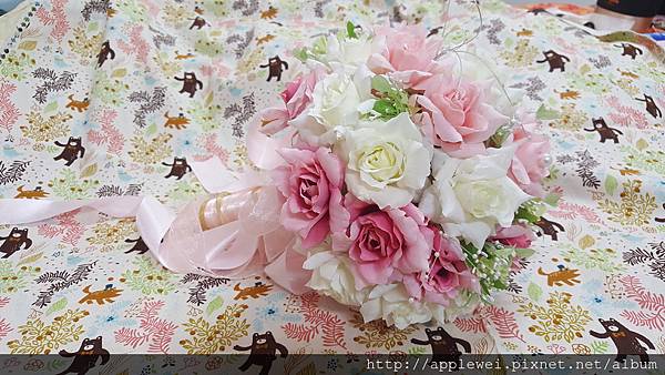 20161102_213033.jpg 20161102_213033.jpg