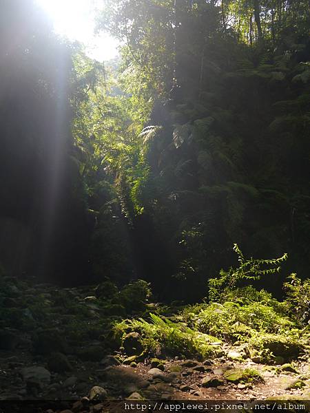 P1140213.JPG P1140213.JPG