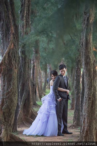 D5D_2433.jpg D5D_2433.jpg