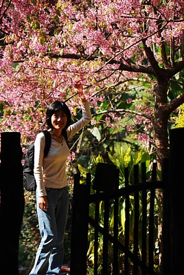 DSC_4668a.jpg DSC_4668a.jpg