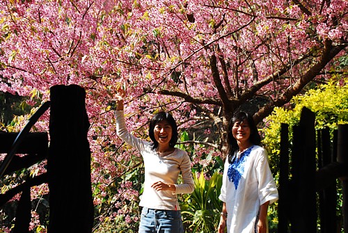 DSC_4722a.jpg DSC_4722a.jpg