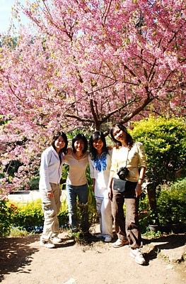 DSC_4730a.jpg DSC_4730a.jpg