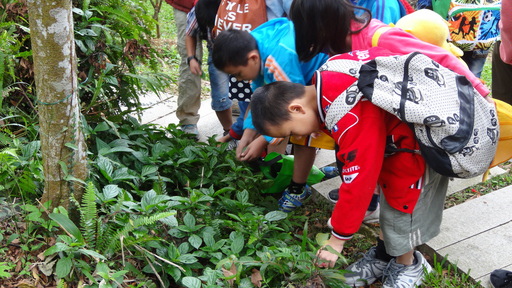 APP亞洲漿紙 金光集團與珍古德協會邀請偏鄉兒童至二格山自然中心體驗森林生態