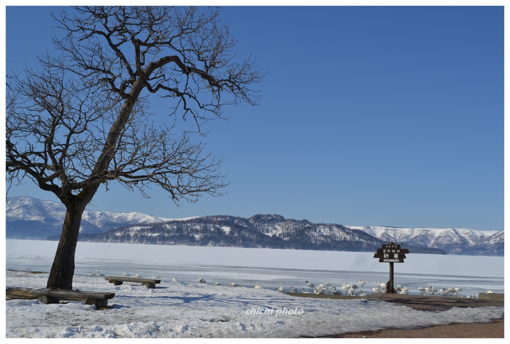 DSC_0406 DSC_0406