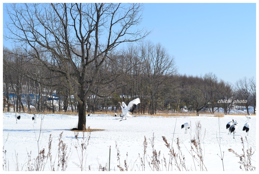 DSC_0282 DSC_0282