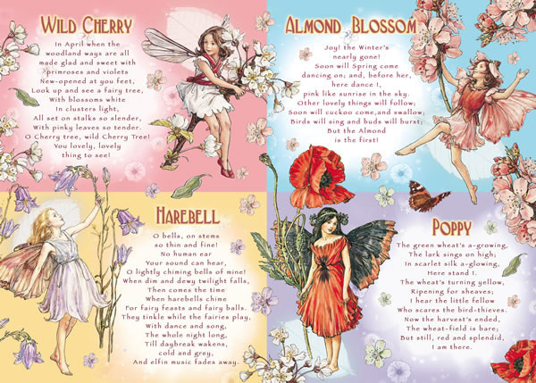 CJ197_Flower_Fairy_Poems.jpg