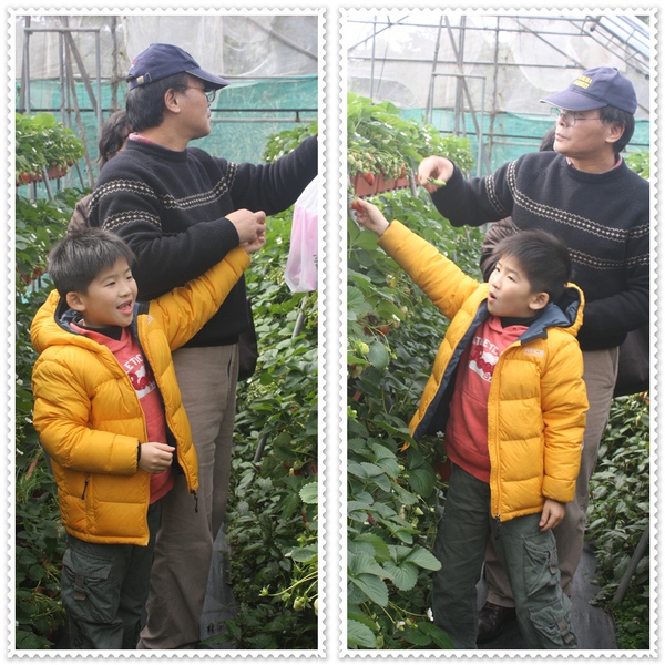 10001-採草莓-17.jpg