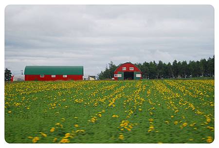 10009北海道-Day2-47.JPG 10009北海道-Day2-47.JPG