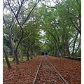 1001127-林場-06.JPG