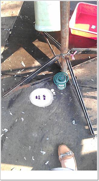 20120818-林口大樹下-03