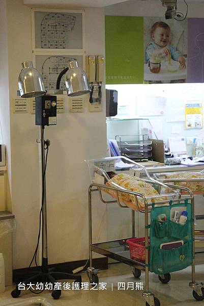 1060206-台大幼幼-19