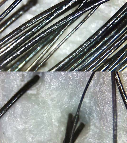 1060629-zoss頭皮SPA-21