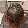 20210501-Wor hair大橋頭-08.JPG