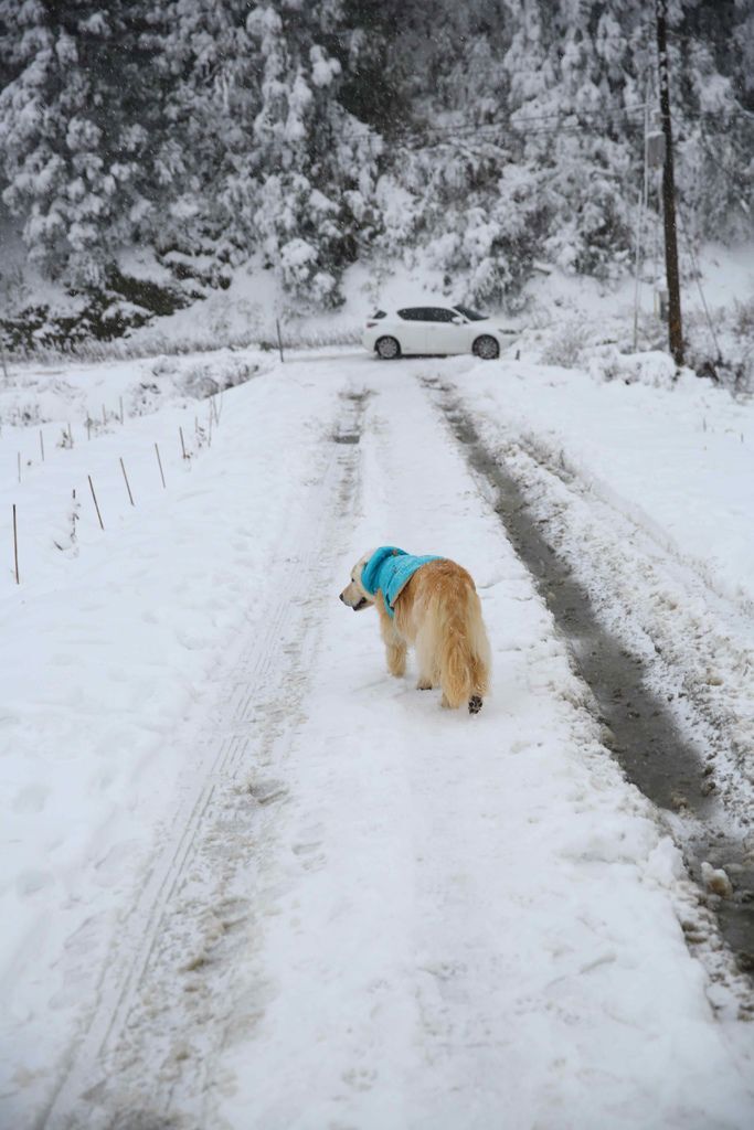 DD0C5598.jpg DD0C5598.jpg