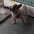 IMG_4206.JPG