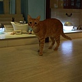 IMG_2298.JPG