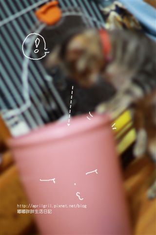 IMG_7799.JPG IMG_7799.JPG