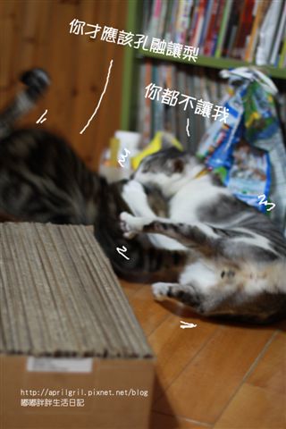 IMG_2587.JPG IMG_2587.JPG