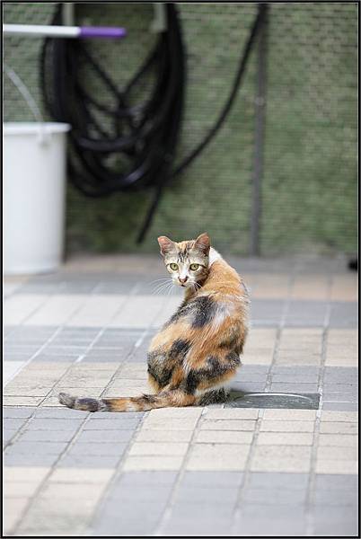 DPP_0012 _瑁_ DPP_0012 _瑁_