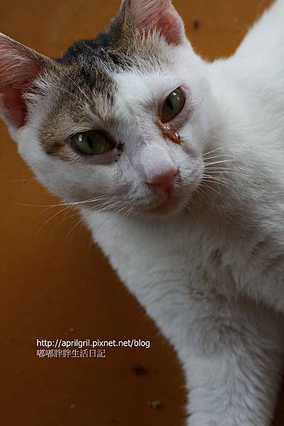 IMG_6619 IMG_6619