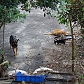 IMG_4911.JPG