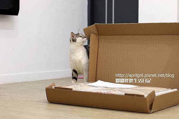 IMG_6530.JPG IMG_6530.JPG