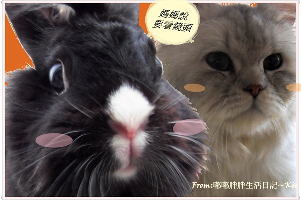 未命名 2拷貝.jpg 未命名 2拷貝.jpg