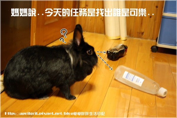 1.JPG 1.JPG