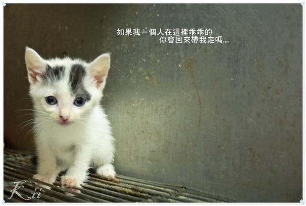 980509隔離區 980509隔離區