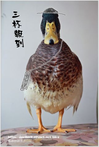 1.JPG 1.JPG
