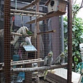 IMG_4313.JPG