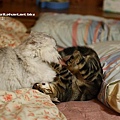 IMG_2651.JPG