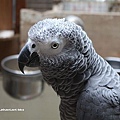 IMG_4325.JPG