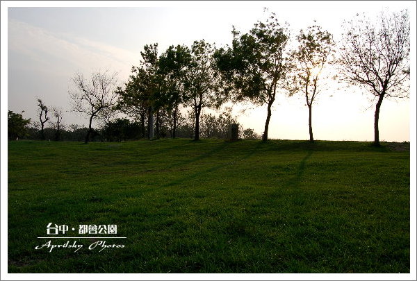 park6.jpg