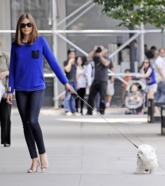 83c8012a85cfbaed_Olivia_Palermo_Olivia_Palermo_Takes_Dog_Walk_tN-EDIycssCl.jpg