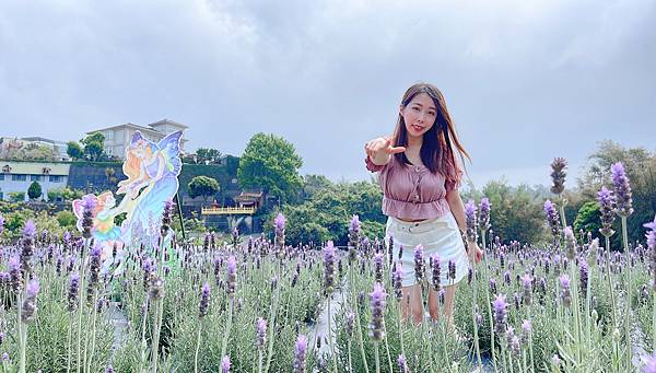 【旅遊】葛瑞絲薰衣草花園/紫色夢幻，無時無刻被薰衣草洗滌心靈