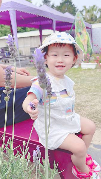 【旅遊】葛瑞絲薰衣草花園/紫色夢幻，無時無刻被薰衣草洗滌心靈