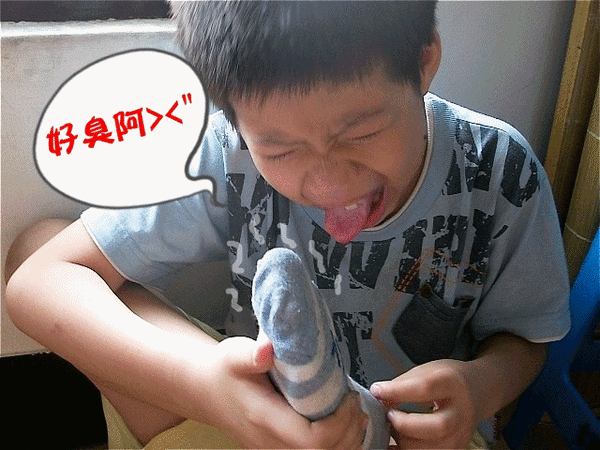 1.gif 1.gif