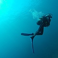 diving-714852_1920.jpg