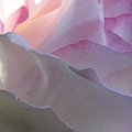 Pink Cloud ; May 9, 2014
